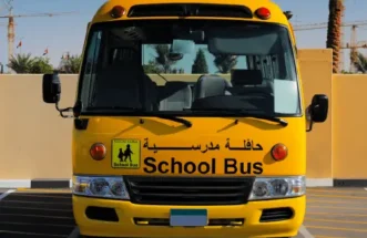 7. Bus Transport